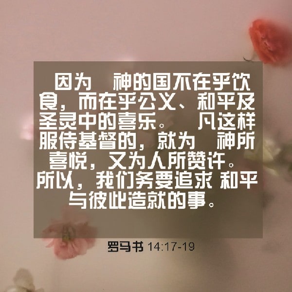 Romans 14:17-19