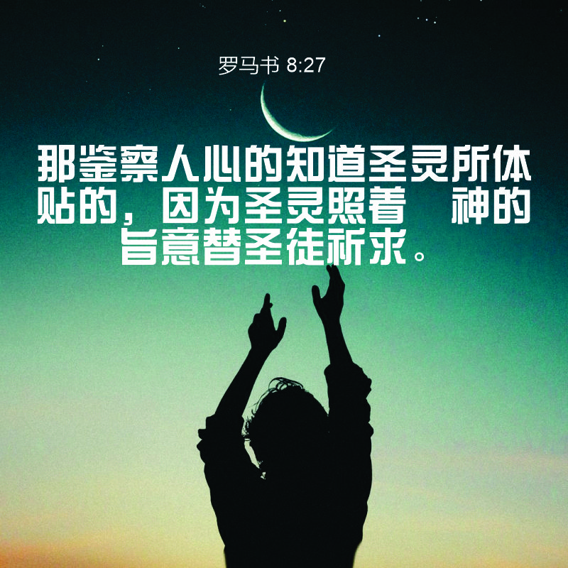 Romans 8:27
