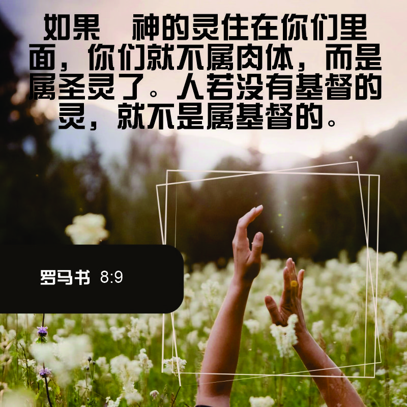 Romans 8:9