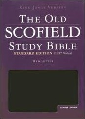 斯图蒂·比杰贝尔