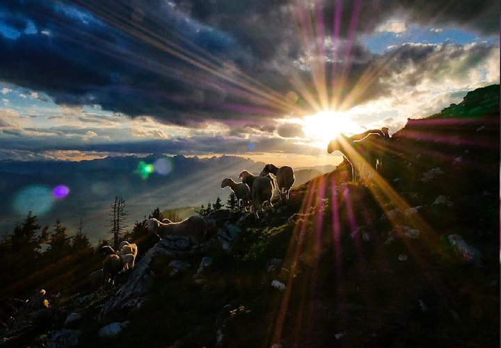 KFUO Radio 撒迦利亚书 10